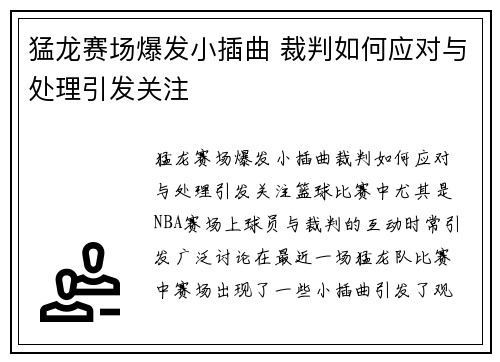 猛龙赛场爆发小插曲 裁判如何应对与处理引发关注